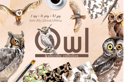 Owl Watercolor png