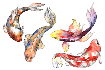 Fairy Goldfish Watercolor png