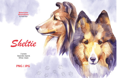 Watercolor dog - Sheltie