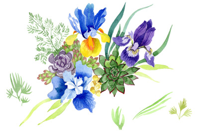 Bouquet with blue irises Watercolor png