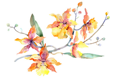 Branch of yellow orchids Watercolor png