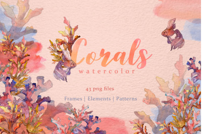 Corals Watercolor png