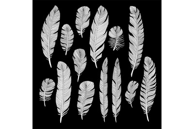 Sketch hand drawn birds feathers vector set