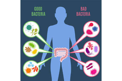 Intestinal flora gut health vector concept with bacteria and probiotic