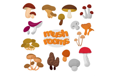 Forest summer and autumn cartoon edible mushrooms vector set