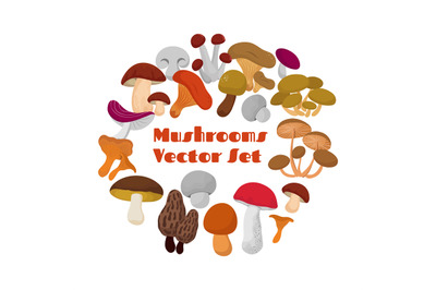 Delicacies fresh edible mushrooms vector set