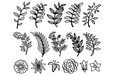 Sketch hand drawn branch and leaves vector decorative floral nature el