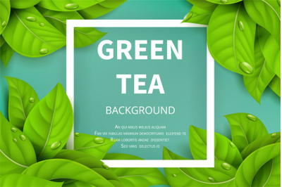 Green tea leaves vector nature background