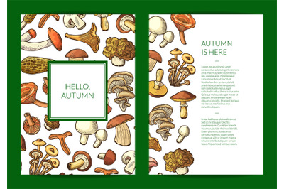 Vector hand drawn mushrooms card, flyer or brochure template illustrat