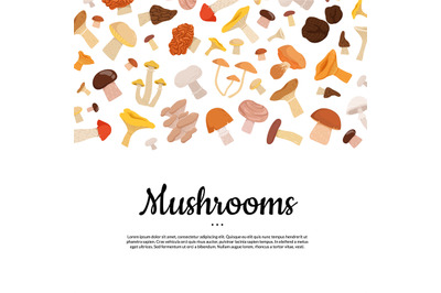 cartoon mushrooms vector background