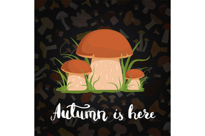 Vector background with cartoon mushrooms and lettering