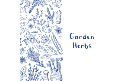 Vector hand drawn herbs and spices background with place for text illu