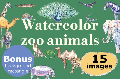 Watercolor zoo animals vector set