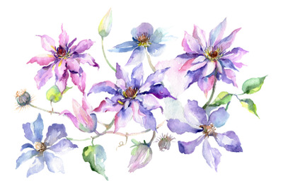 Branch of gentle purple flowers Watercolor png