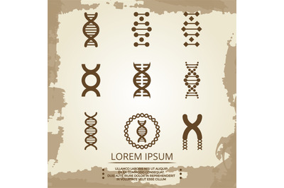 DNA vector icons - vintage biology poster with DNA spirals