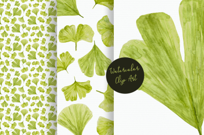 Watercolor Ginkgo Clip Art and Pattern