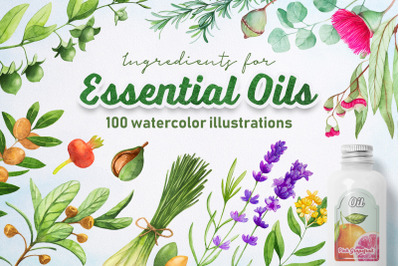 Essential Oils. Watercolor.
