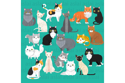 Collection of cats illustrations