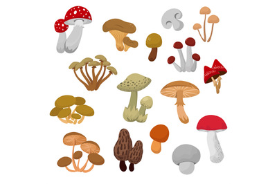 Fresh autumn mushrooms and toadstools cartoon vector set