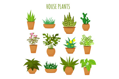 Indoor house green plants and flowers isolated on white vector set