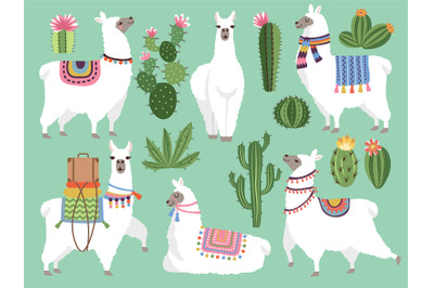 Set illustrations of animals. Llama and alpaca wool