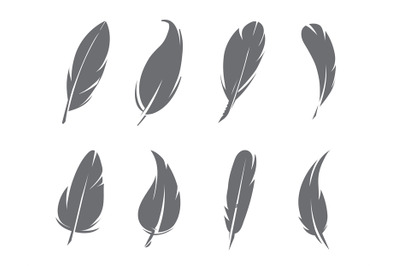 Monochrome pictures of feathers isolate on white background