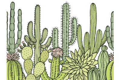 Horizontal seamless pattern with illustrations of wild cactuses