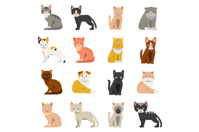 Funny cats in flat style. Isolate on white background