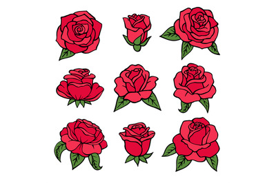 Illustrations of plants. Red roses symbols of love. Wedding flowers is