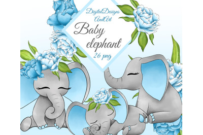 Baby elephant in blue