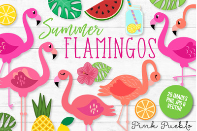 Flamingo Clipart and Vectors