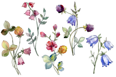 Wildflowers Watercolor png