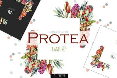 Protea. Frame #2