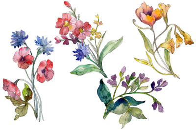 Wildflowers the beauty Watercolor png