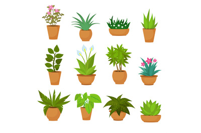 Indoor and outdoor landscape garden potted plants isolated on white. V