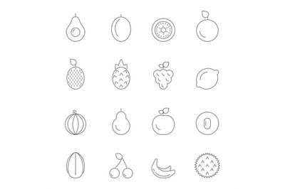 Linear illustrations of various fruits