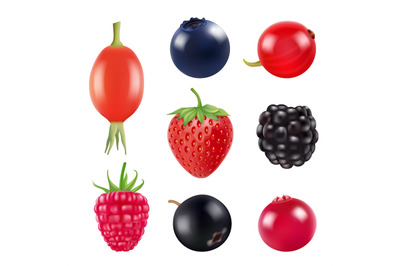 Set of berries. Realistic pictures of fresh fruits and berries isolate