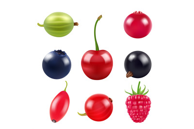 Realistic pictures of berries. Various fresh fruits