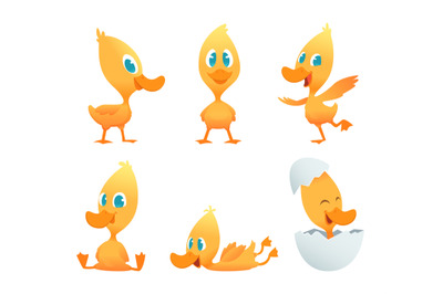 Cartoon duck. Various action poses of funny duck