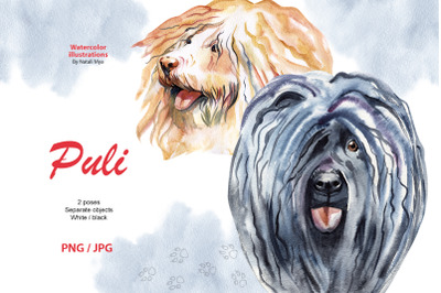 Watercolor dog - Puli