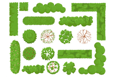 Top view trees and bushes. Forest tree, green park bush and plant map