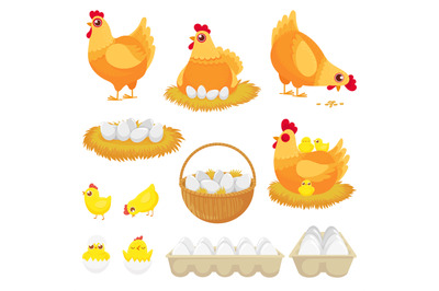 Chicken eggs. Hen farm egg, nest and tray of chickens eggs cartoon vec