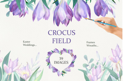 Crocus Field Watercolor set