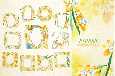 Yellow daffodil Watercolor png