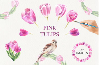 Pink Tulips Watercolor Set