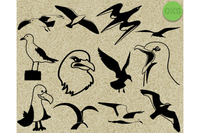 seagull svg, svg files, vector, clipart, cricut, download