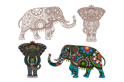 Vector Indian elephant