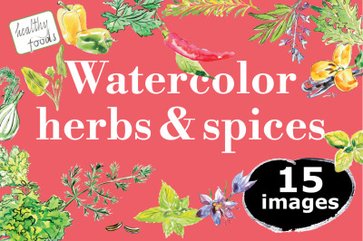 Watercolor herbs &amp; spices collection