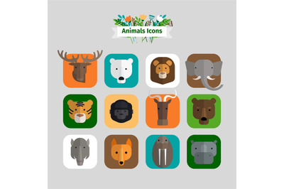 Animals Avatars