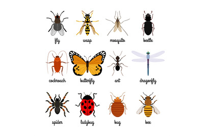 Insects icons